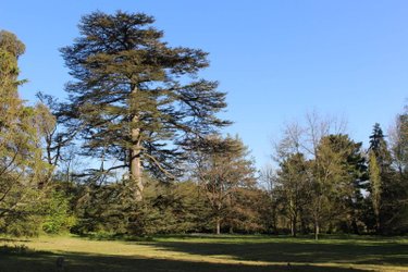 propriete a vendre Liffré 35340 Ille-et-Vilaine 342 m2 8 pièces 880320 euros