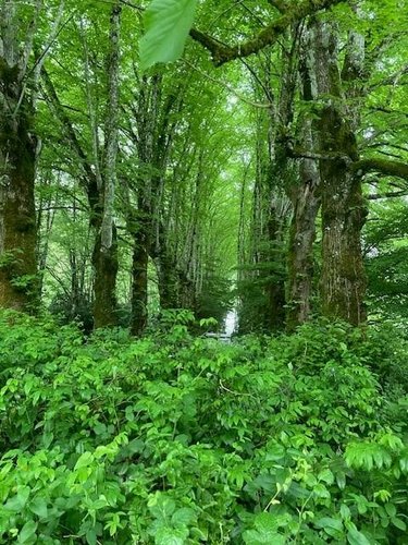 propriete a vendre Liffré 35340 Ille-et-Vilaine 342 m2 8 pièces 880320 euros