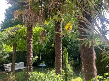 Maison a vendre Rennes 35000 Ille-et-Vilaine 110 m2 6 pièces 576400 euros
