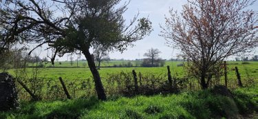 Maison a vendre Cesson-Sévigné 35510 Ille-et-Vilaine 180 m2 2 pièces 167200 euros