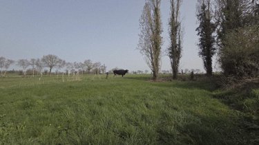 Maison a vendre Acigné 35690 Ille-et-Vilaine 100 m2 6 pièces 435000 euros