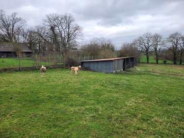 Maison a vendre Brécé 35530 Ille-et-Vilaine 74 m2 3 pièces 208400 euros