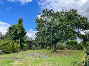 Maison a vendre Langouet 35630 Ille-et-Vilaine 220 m2 7 pièces 437640 euros