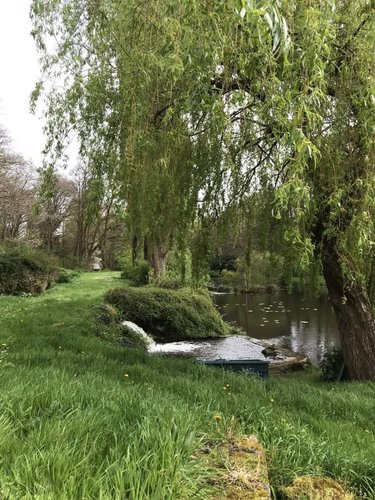 propriete a vendre Plouzélambre 22420 Côtes-d'Armor 133 m2 5 pièces 811200 euros