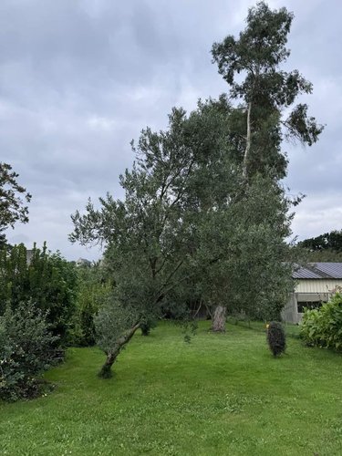 Maison a vendre Dingé 35440 Ille-et-Vilaine 134 m2 4 pièces 239200 euros