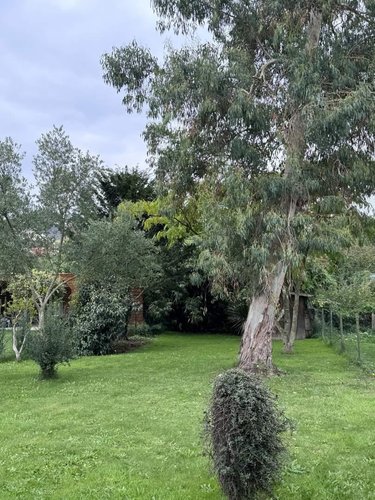 Maison a vendre Dingé 35440 Ille-et-Vilaine 134 m2 4 pièces 239200 euros