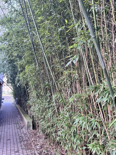 Appartement a vendre Rennes 35000 Ille-et-Vilaine 16 m2 1 pièce 114400 euros