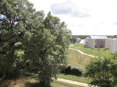 Location appartement Mordelles 35310 Ille-et-Vilaine 63 m2 3 pièces 735 euros