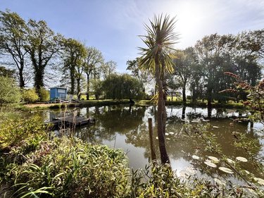 Terrains de loisirs bois etangs a vendre Mordelles 35310 Ille-et-Vilaine 4320 m2  49500 euros