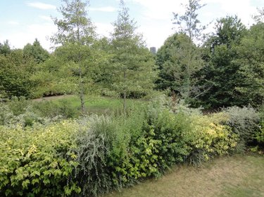 Location appartement Mordelles 35310 Ille-et-Vilaine 60 m2 3 pièces 680 euros