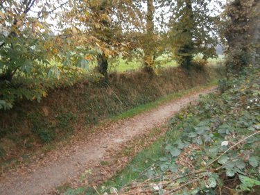 Location maison 35 Ille-et-Vilaine 117 m2 6 pièces 1200 euros