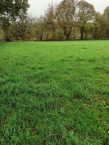 Terrain a batir a vendre Landéan 35133 Ille-et-Vilaine 2200 m2  47821 euros