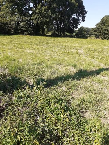 Terrain a batir a vendre Rives-du-Couesnon 35140 Ille-et-Vilaine 850 m2  44183 euros