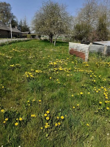 Maison a vendre Saint-Pierre-des-Landes 53500 Mayenne 112 m2 5 pièces 77970 euros