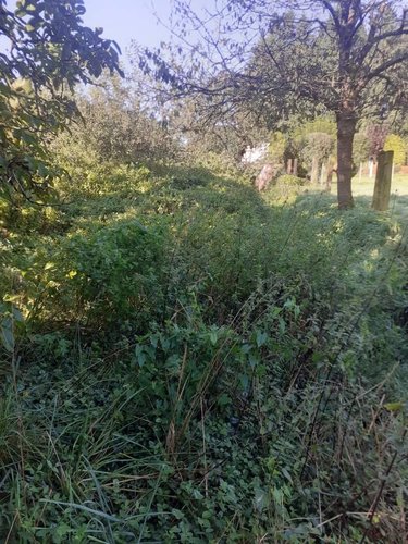Maison a vendre Laignelet 35133 Ille-et-Vilaine 60 m2 4 pièces 62376 euros