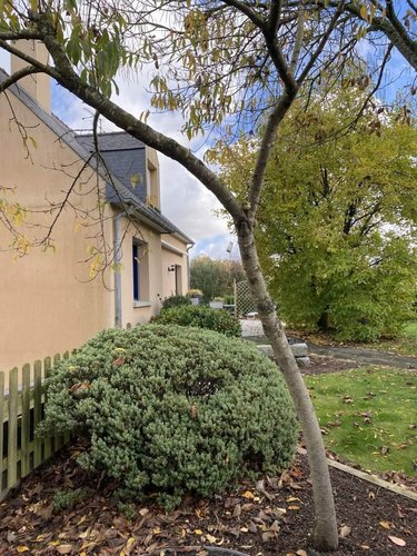 Maison a vendre Laignelet 35133 Ille-et-Vilaine 121 m2 7 pièces 293167 euros