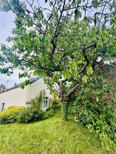 Maison a vendre La Gouesnière 35350 Ille-et-Vilaine 104 m2 3 pièces 195332 euros