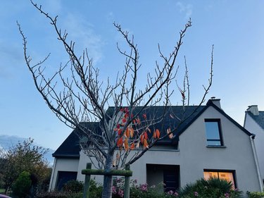 Maison a vendre Saint-Méloir-des-Ondes 35350 Ille-et-Vilaine 125 m2 5 pièces 446770 euros