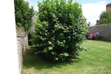 Maison a vendre Saint-Jouan-des-Guérets 35430 Ille-et-Vilaine 119 m2 6 pièces 289772 euros