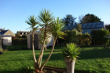 Maison a vendre Saint-Méloir-des-Ondes 35350 Ille-et-Vilaine 145 m2 7 pièces 511222 euros