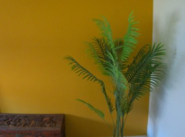 Location maison Saint-Malo 35400 Ille-et-Vilaine 83 m2 4 pièces 1000 euros