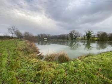 Terrains de loisirs bois etangs a vendre Tinténiac 35190 Ille-et-Vilaine 10200 m2  54000 euros