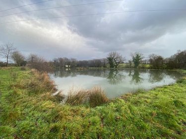 Terrains de loisirs bois etangs a vendre Tinténiac 35190 Ille-et-Vilaine 10200 m2  54000 euros