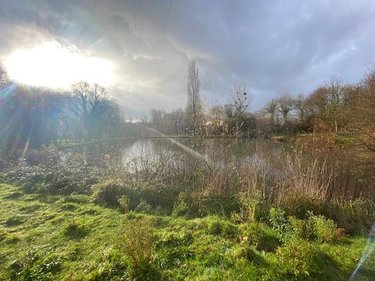 Terrains de loisirs bois etangs a vendre Tinténiac 35190 Ille-et-Vilaine 10200 m2  54000 euros