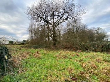 Terrains de loisirs bois etangs a vendre Plesder 35720 Ille-et-Vilaine 4315 m2  15118 euros