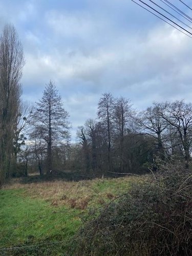 Terrains de loisirs bois etangs a vendre Plesder 35720 Ille-et-Vilaine 4315 m2  15118 euros
