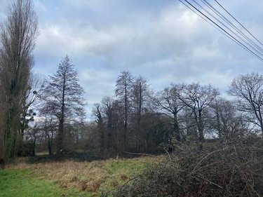 Terrains de loisirs bois etangs a vendre Plesder 35720 Ille-et-Vilaine 4315 m2  15118 euros