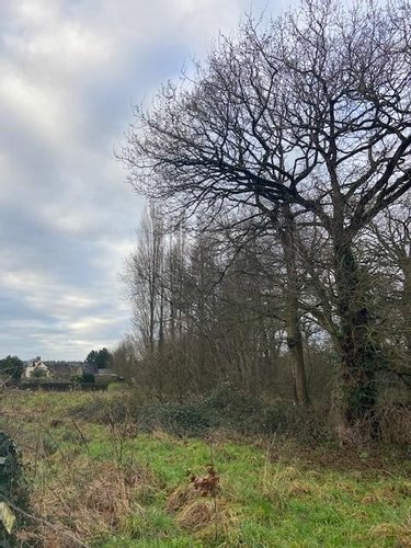 Terrains de loisirs bois etangs a vendre Plesder 35720 Ille-et-Vilaine 4315 m2  15118 euros