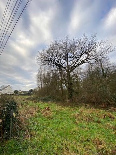 Terrains de loisirs bois etangs a vendre Plesder 35720 Ille-et-Vilaine 4315 m2  15118 euros