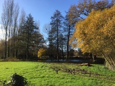 Terrains de loisirs bois etangs a vendre Plesder 35720 Ille-et-Vilaine 4315 m2  15118 euros