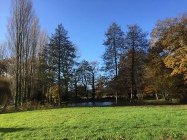 Terrains de loisirs bois etangs a vendre Plesder 35720 Ille-et-Vilaine 4315 m2  15118 euros