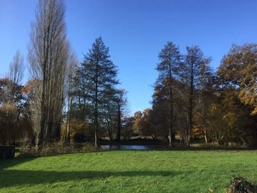 Terrains de loisirs bois etangs a vendre Plesder 35720 Ille-et-Vilaine 4315 m2  15118 euros