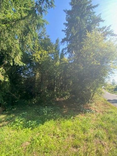 Terrains de loisirs bois etangs a vendre Saint-Gondran 35630 Ille-et-Vilaine 3337 m2  16198 euros