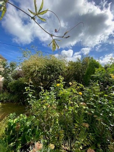 Maison a vendre Tinténiac 35190 Ille-et-Vilaine 133 m2 4 pièces 229900 euros