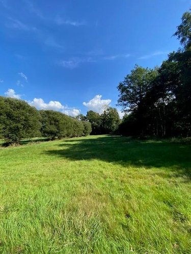 Bien agricole a vendre Saint-Domineuc 35190 Ille-et-Vilaine  1879 euros