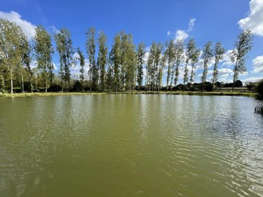 Terrains de loisirs bois etangs a vendre Pont-Péan 35131 Ille-et-Vilaine 11000 m2  43990 euros