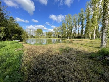 Terrains de loisirs bois etangs a vendre Pont-Péan 35131 Ille-et-Vilaine 11000 m2  43990 euros