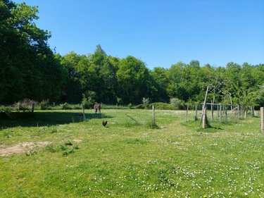 Maison a vendre Martigné-Ferchaud 35640 Ille-et-Vilaine 206 m2 8 pièces 280080 euros