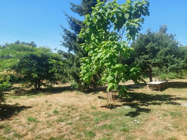 Maison a vendre Retiers 35240 Ille-et-Vilaine 106 m2 5 pièces 239120 euros