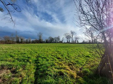 Maison a vendre Martigné-Ferchaud 35640 Ille-et-Vilaine 201 m2 8 pièces 345616 euros