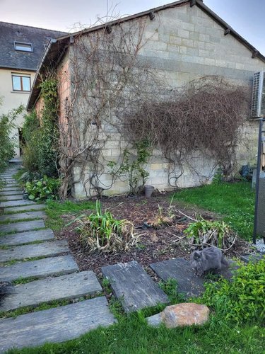 Maison a vendre Retiers 35240 Ille-et-Vilaine 90 m2 1 pièce 53600 euros
