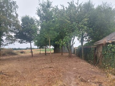 Maison a vendre Essé 35150 Ille-et-Vilaine 68 m2 4 pièces 146960 euros