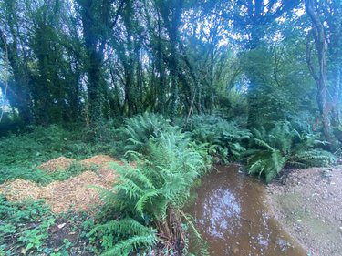 Terrains de loisirs bois etangs a vendre Mauron 56430 Morbihan 10200 m2  11500 euros