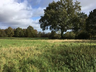 Terrain a batir a vendre Servon-sur-Vilaine 35530 Ille-et-Vilaine 5700 m2  178520 euros