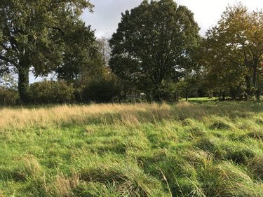 Terrain a batir a vendre Servon-sur-Vilaine 35530 Ille-et-Vilaine 5700 m2  178520 euros