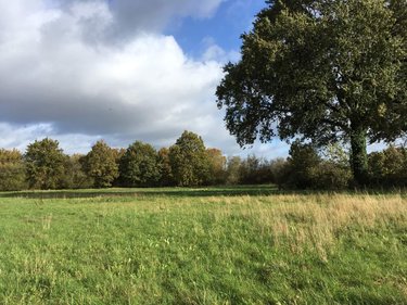 Terrain a batir a vendre Servon-sur-Vilaine 35530 Ille-et-Vilaine 5700 m2  178520 euros